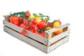 Multicolored Tomatoes in Wooden Box