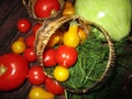 Multicolored tomatoes and zucchini