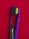 Multicolored toothbrushes on a red background