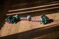 Multicolored toy for dogs animal rope