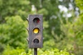 Multicolored traffic light on a green background