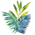 Multicolored tropical palm leaves on isolated white background, watercolor botanical painting. jungle leaf for design