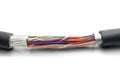 Multicolored trunk cable is torn off. Multichannel communication line. High speed data transfe. Damaged Isolation of main