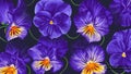 Large floral background with dark purple, blue flowers Pansies, Viola on dark background in desktop wallpaper for computer,