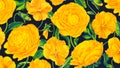 Horizontal vector floral background. Yellow flowers on dark background.