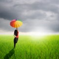 Multicolored umbrella woman jumping in green rice field and rainclouds Royalty Free Stock Photo