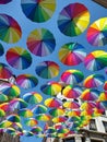 multicolored umbrellas in the streets