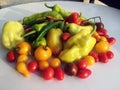 Multicolored various peppers and tomatoes included yellow greenand reds