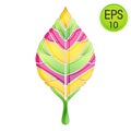 Multicolored vector leaf. Fresh leaf