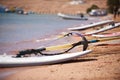 Multicolored windsurfing board lying on the beach. The best place for learning windsurfing. Royalty Free Stock Photo