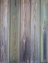 Multicolored wood texture