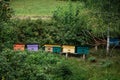 Wooden bee hives in the garden Royalty Free Stock Photo