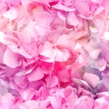 Multicolour All over Blossom Print Royalty Free Stock Photo
