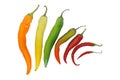 Multicolour chilly peppers Royalty Free Stock Photo