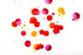 Multicolour paint splash on white canvas. Splatter isolated from different color paint and ink Royalty Free Stock Photo