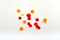 Multicolour paint splash on white canvas. Splatter isolated from different color paint and ink Royalty Free Stock Photo