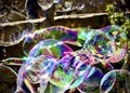 Multicoloured big soap bubbles Royalty Free Stock Photo