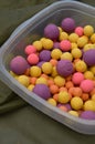 Multicoloured Coarse Fishing Carp Bait Boilies