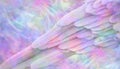 Multicoloured Ethereal Angelic wing message background