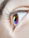 Multicoloured eye Royalty Free Stock Photo