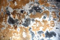 Peeling paint and Lichen Texture Pattern Background on wall Royalty Free Stock Photo