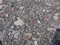 Multicoloured rocks and stones form a pavement