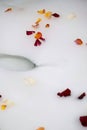 Multicoloured rose petals scattered on white bath bubbles, close up