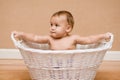 Multicultural baby in white basket Royalty Free Stock Photo