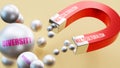 Multiculturalism which brings Diversity. A magnet metaphor in which Multiculturalism attracts multiple Diversity steel b Royalty Free Stock Photo