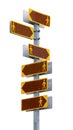 Multidirectional signpost with blank direction plates.