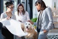 Multiethnic businesswomen in formal wear showing blueprint to dog at office
