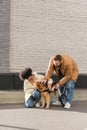 Multiethnic couple comforting disabled dog in