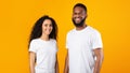 Multiethnic Couple Posing Standing Over Yellow Studio Background, Panorama