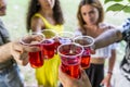 Multiethnic group of millennial friends toasting celebrating a birthday