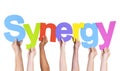 Multiethnic Hands Holding Text Synergy Royalty Free Stock Photo