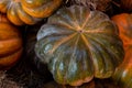 Multifaceted dark green pumpkin ripe mini vegetable background base close-up
