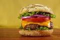 Multigrain bun burger Royalty Free Stock Photo