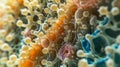 Multilayered colonies of bacteria in various shapes and sizes cover the surface forming a dense and intricate biofilm