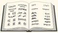 Open Multilingual Dictionary Book with Global Alphabets Royalty Free Stock Photo