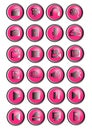 24 multimedia icons or bright pink and silver buttons