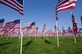 Multiple American Flags in Rows in a grassy field Royalty Free Stock Photo