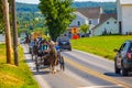Multiple Amish Buggies on Road Royalty Free Stock Photo