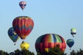 Balloons over a Boise Park in Early Morning in August