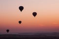 multiple balloons taking flight, pinkorange dawn sky