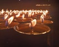 Multiple beautiful Diya at Mahabodhi temple Bodhgaya Royalty Free Stock Photo