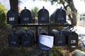 Multiple black mailboxes with one holding mail, Oak View, California, USA