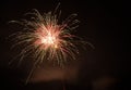 multiple bright pink and green fireworks at night