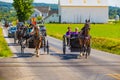 Multiple Buggies on Lancaster County Road Royalty Free Stock Photo