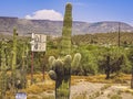 several cactus plants with signs in the foreground of a desert scene Royalty Free Stock Photo