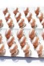 Multiple capsules in blister packs, packages closeup. Pills, orange tablets in simple plastic packaging container Royalty Free Stock Photo